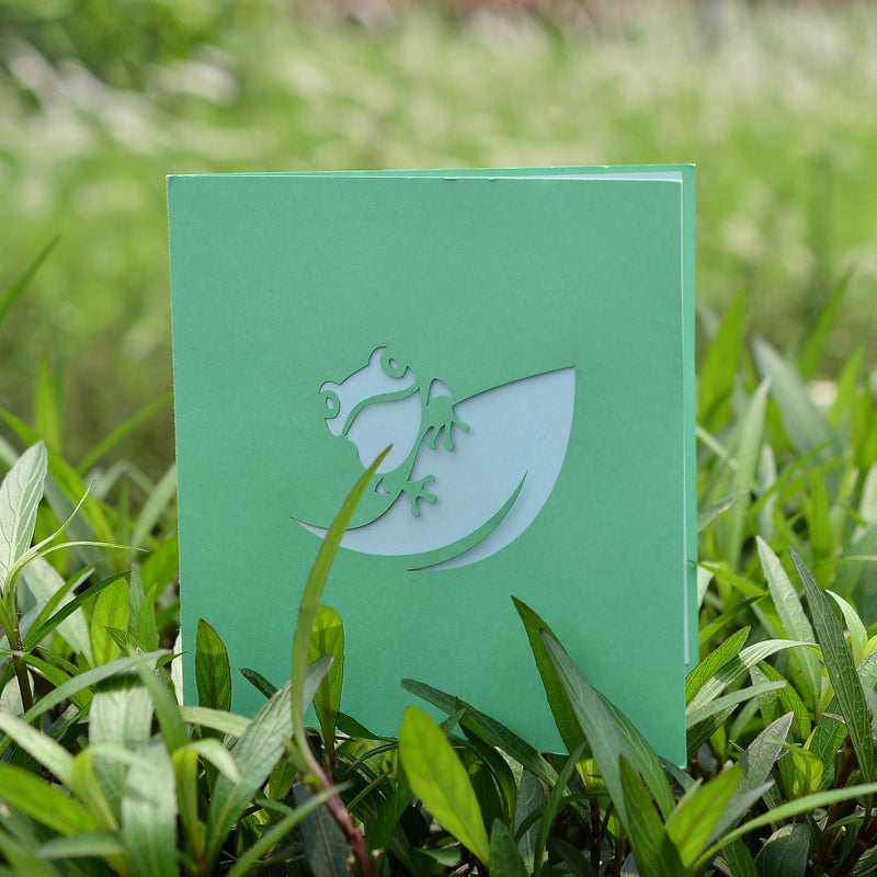 CUT POPUP.COM CUTPOPUP Birthday Card Pop Up, 3D Greeting Card (Frog) - Image 4